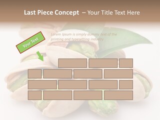 Plant Hard Green PowerPoint Template