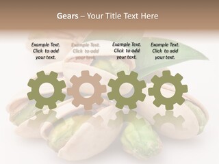 Plant Hard Green PowerPoint Template