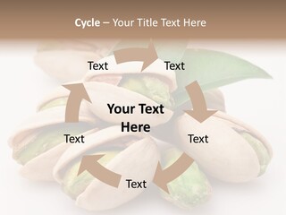 Plant Hard Green PowerPoint Template
