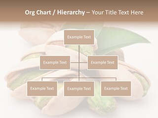 Plant Hard Green PowerPoint Template
