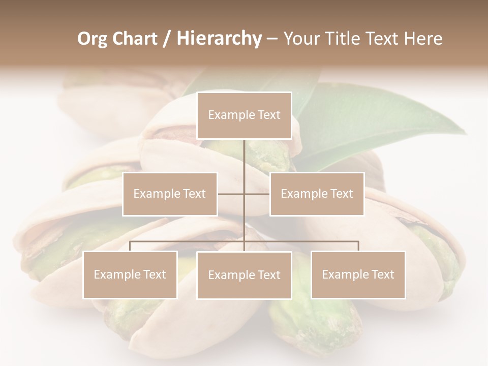Plant Hard Green PowerPoint Template