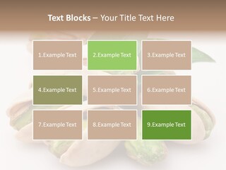 Plant Hard Green PowerPoint Template