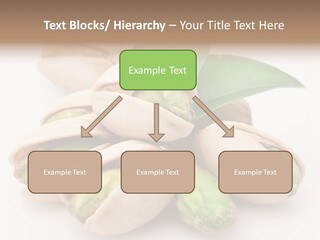 Plant Hard Green PowerPoint Template