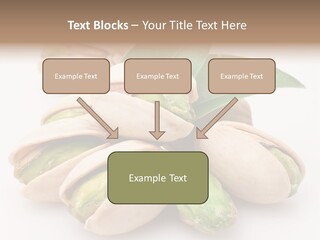 Plant Hard Green PowerPoint Template