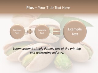 Plant Hard Green PowerPoint Template