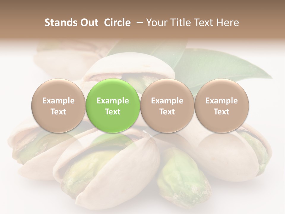 Plant Hard Green PowerPoint Template
