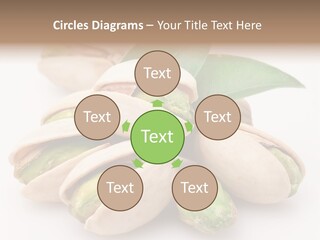 Plant Hard Green PowerPoint Template