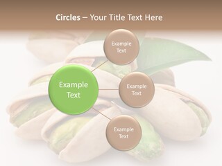 Plant Hard Green PowerPoint Template