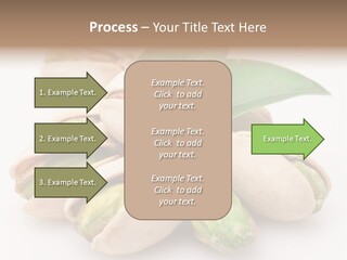 Plant Hard Green PowerPoint Template