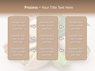 Plant Hard Green PowerPoint Template