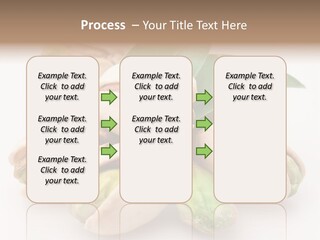 Plant Hard Green PowerPoint Template