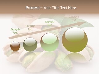 Plant Hard Green PowerPoint Template