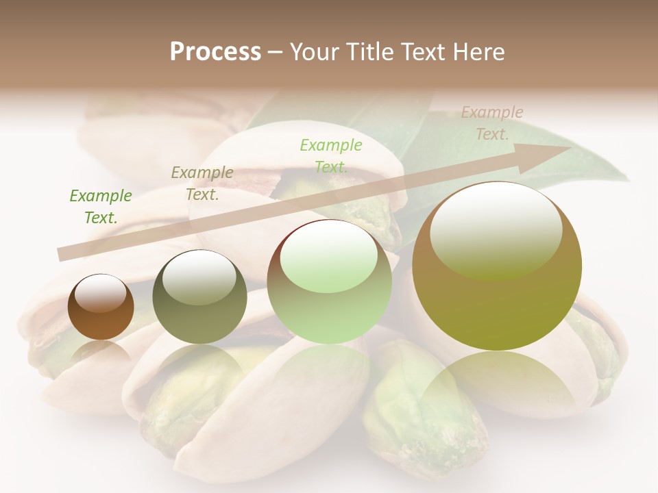 Plant Hard Green PowerPoint Template