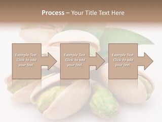 Plant Hard Green PowerPoint Template