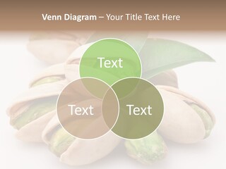 Plant Hard Green PowerPoint Template