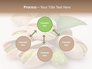 Plant Hard Green PowerPoint Template