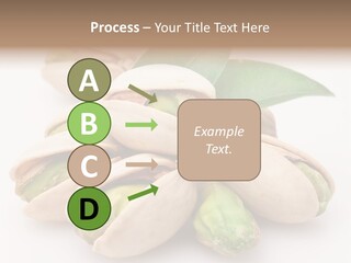 Plant Hard Green PowerPoint Template