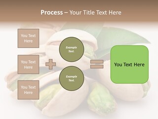 Plant Hard Green PowerPoint Template
