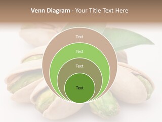 Plant Hard Green PowerPoint Template