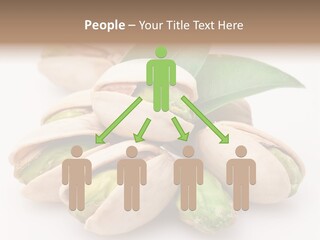 Plant Hard Green PowerPoint Template
