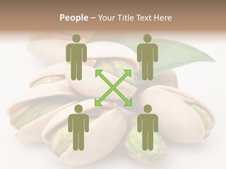 Plant Hard Green PowerPoint Template