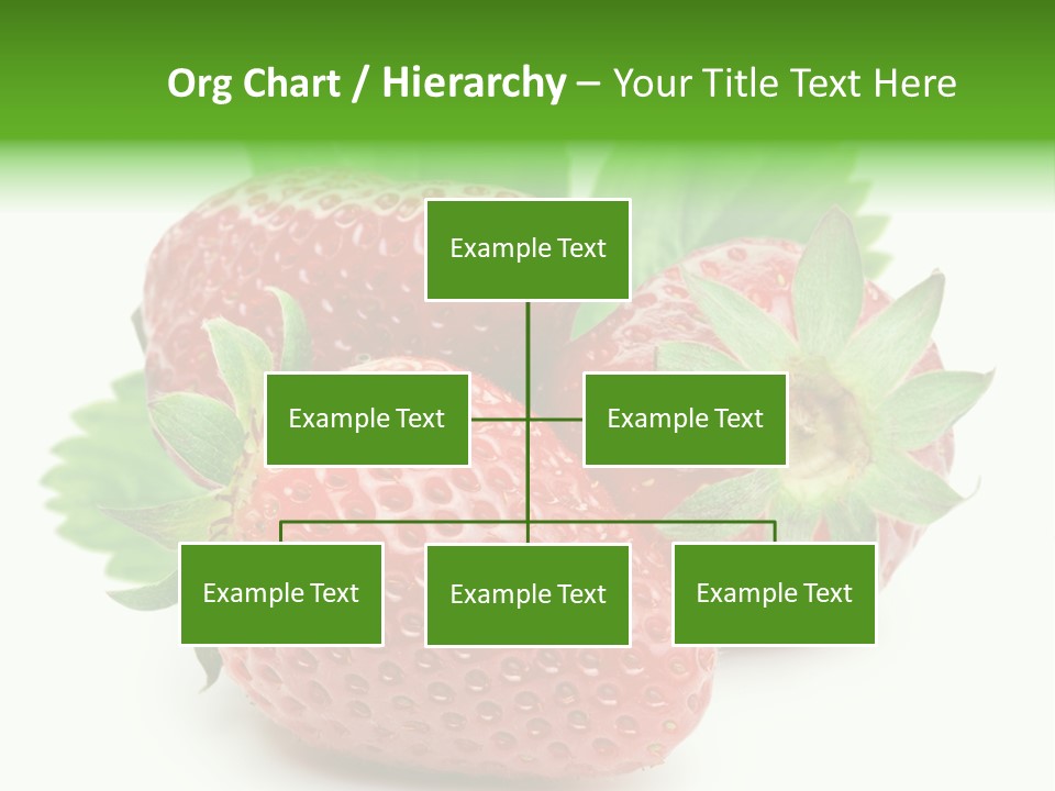Reflection Freshness Leaf PowerPoint Template