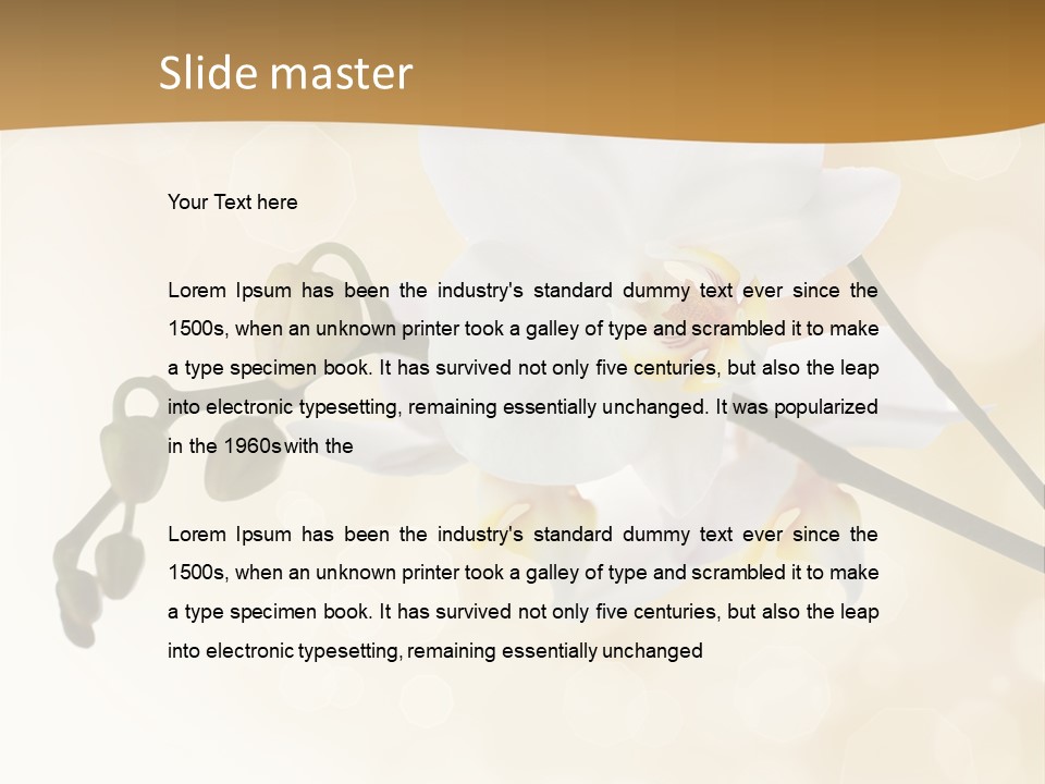 Bokeh Phalaenopsis Living Plant PowerPoint Template