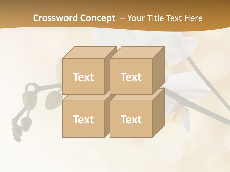 Bokeh Phalaenopsis Living Plant PowerPoint Template