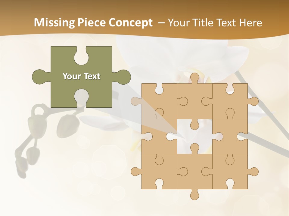 Bokeh Phalaenopsis Living Plant PowerPoint Template