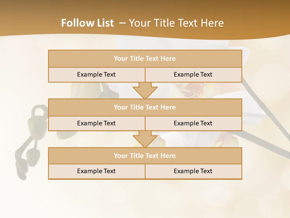 Bokeh Phalaenopsis Living Plant PowerPoint Template