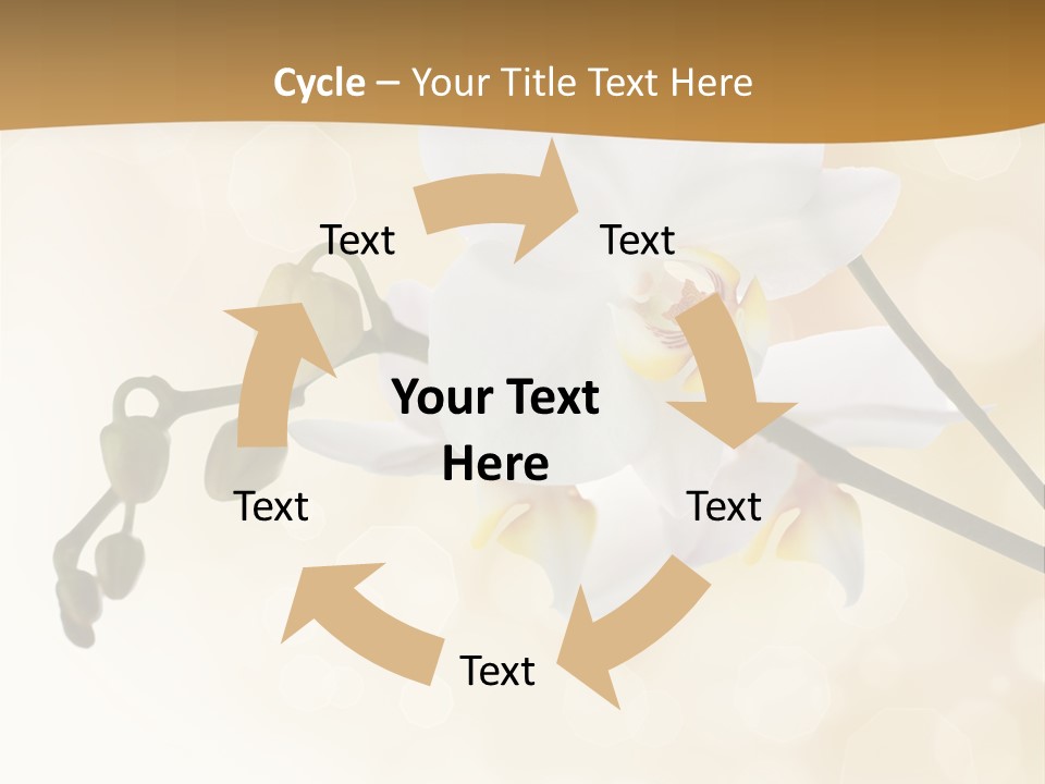 Bokeh Phalaenopsis Living Plant PowerPoint Template