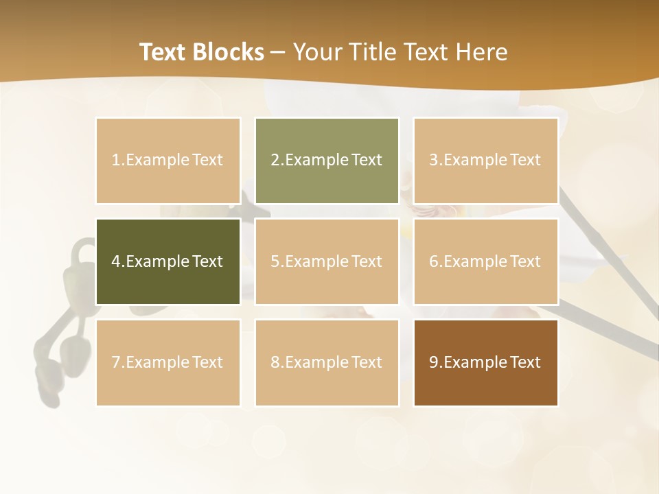 Bokeh Phalaenopsis Living Plant PowerPoint Template