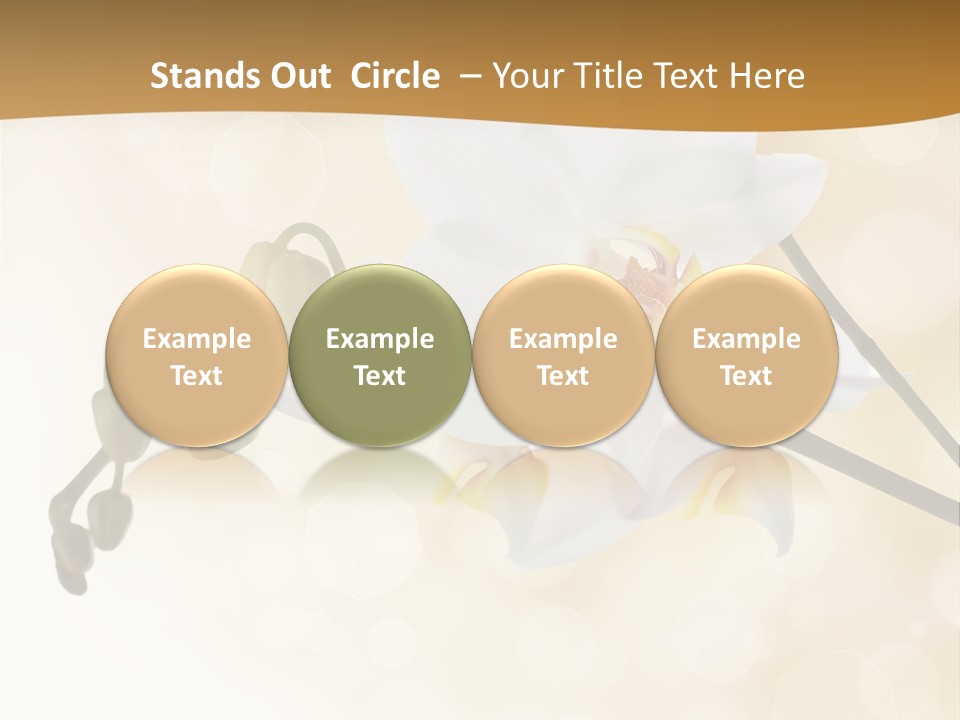 Bokeh Phalaenopsis Living Plant PowerPoint Template