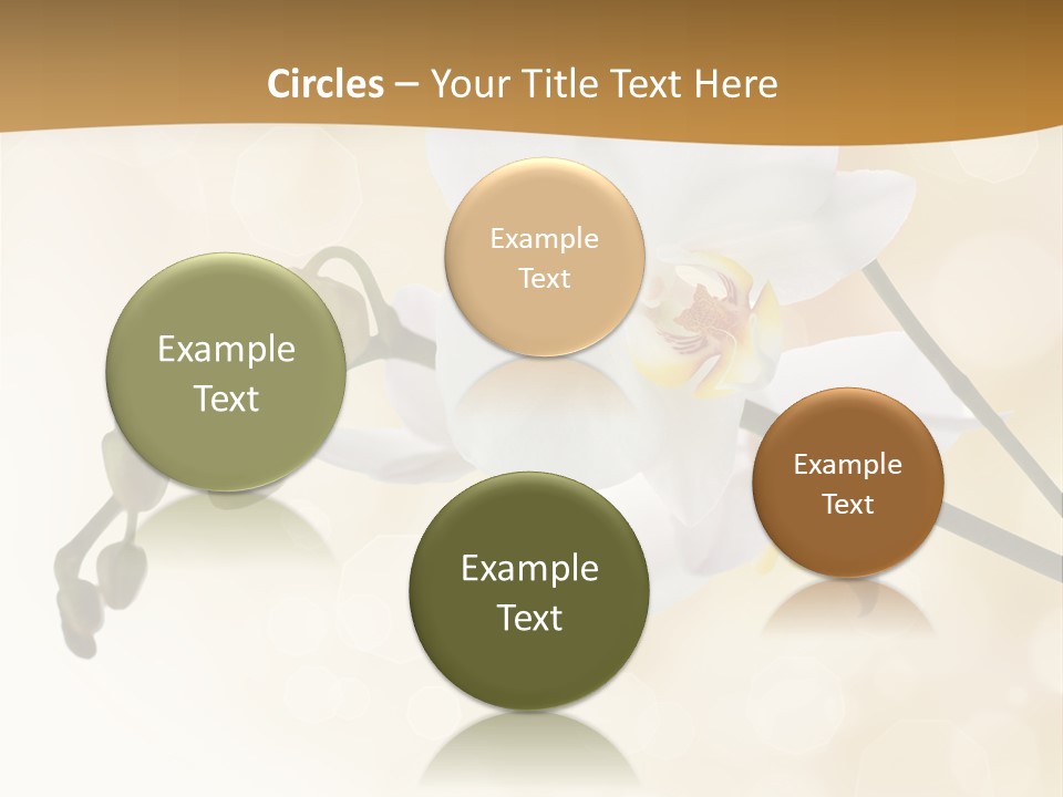 Bokeh Phalaenopsis Living Plant PowerPoint Template