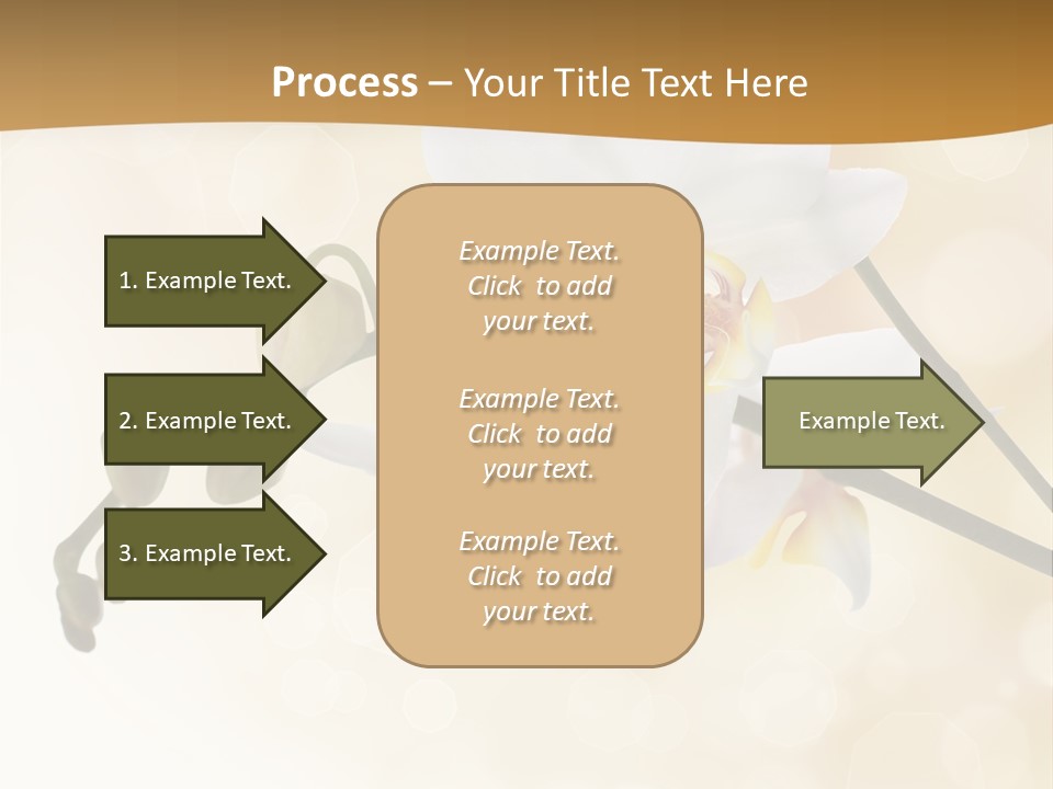 Bokeh Phalaenopsis Living Plant PowerPoint Template