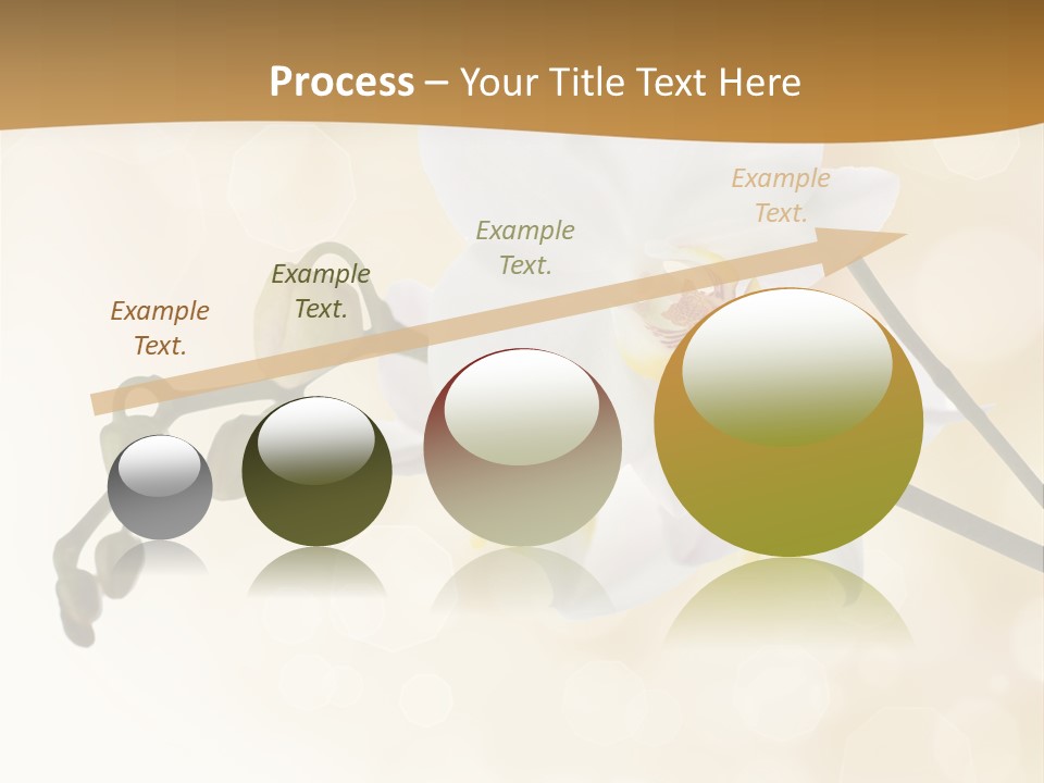 Bokeh Phalaenopsis Living Plant PowerPoint Template