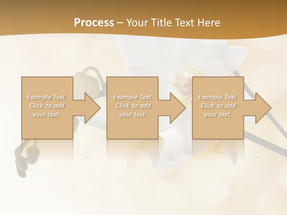 Bokeh Phalaenopsis Living Plant PowerPoint Template