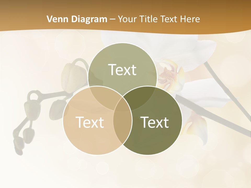 Bokeh Phalaenopsis Living Plant PowerPoint Template