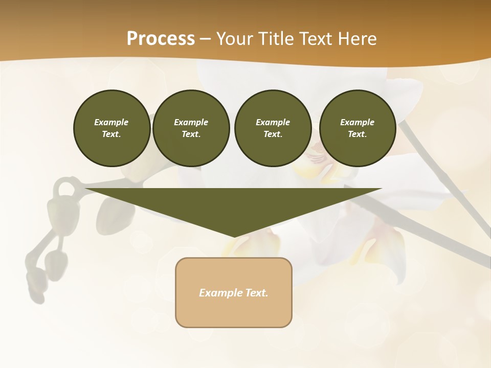 Bokeh Phalaenopsis Living Plant PowerPoint Template