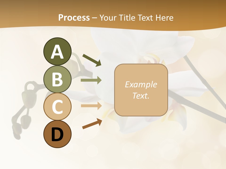 Bokeh Phalaenopsis Living Plant PowerPoint Template
