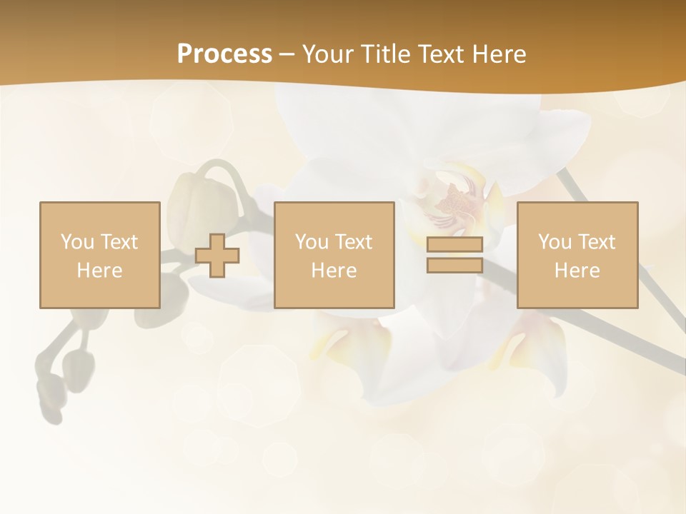 Bokeh Phalaenopsis Living Plant PowerPoint Template