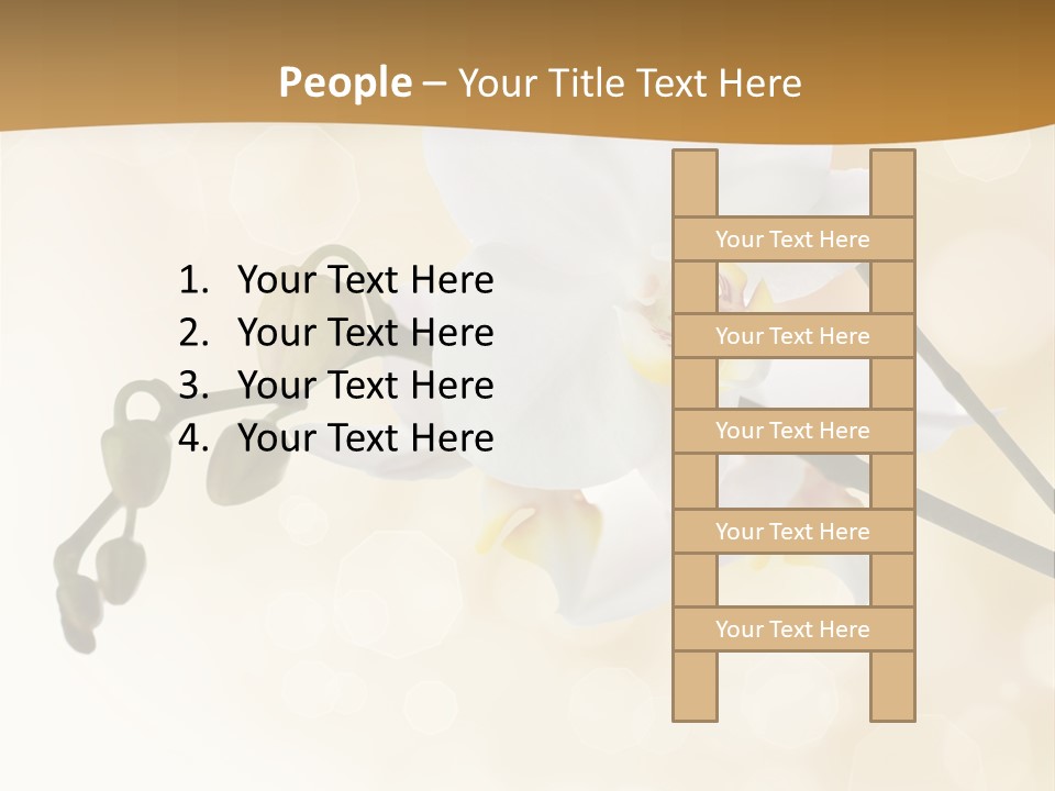 Bokeh Phalaenopsis Living Plant PowerPoint Template