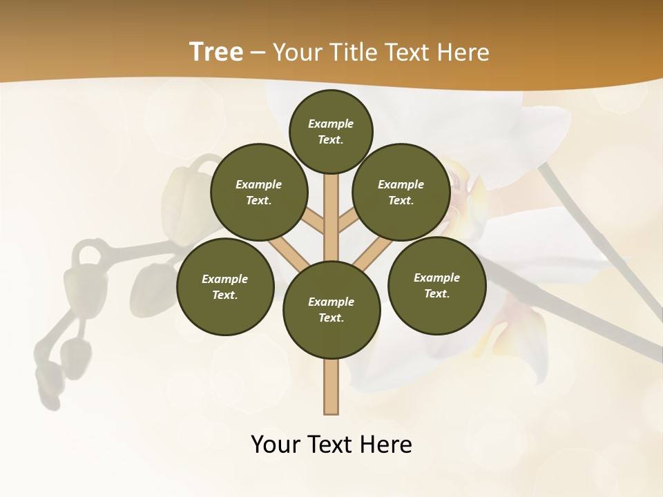 Bokeh Phalaenopsis Living Plant PowerPoint Template