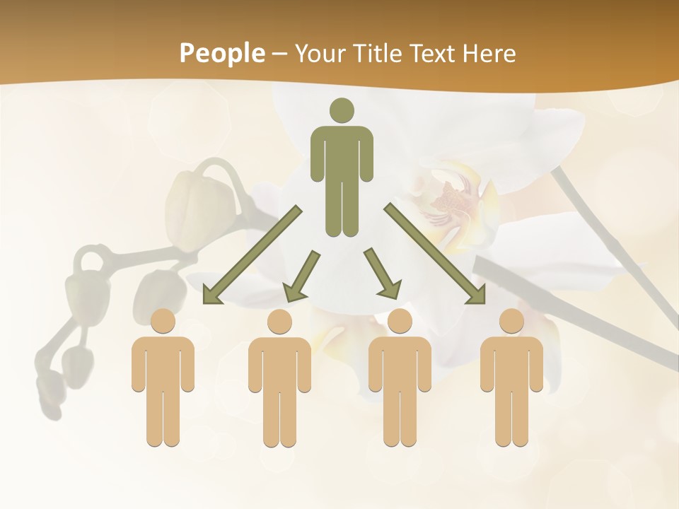 Bokeh Phalaenopsis Living Plant PowerPoint Template