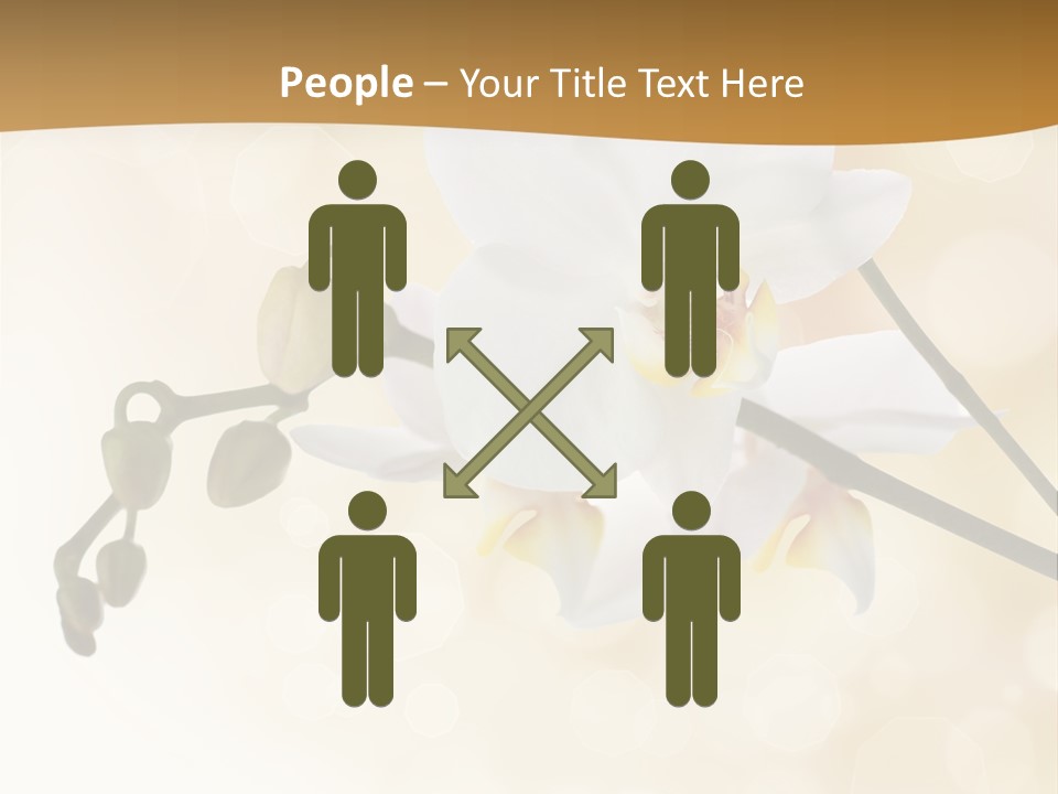 Bokeh Phalaenopsis Living Plant PowerPoint Template