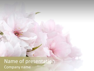 Copy Green Flowers PowerPoint Template