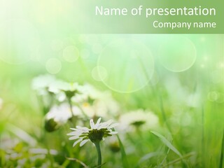 Leaf Daisy Season PowerPoint Template