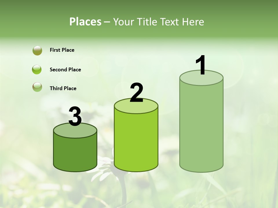 Leaf Daisy Season PowerPoint Template