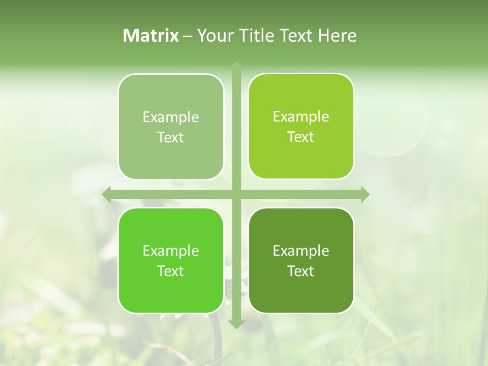 Leaf Daisy Season PowerPoint Template