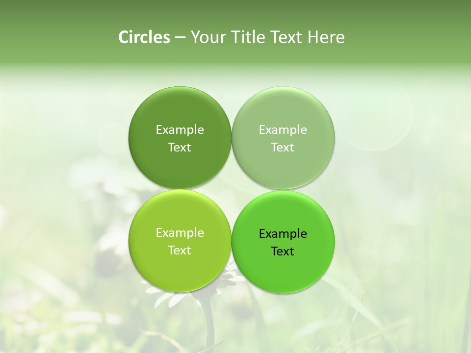 Leaf Daisy Season PowerPoint Template